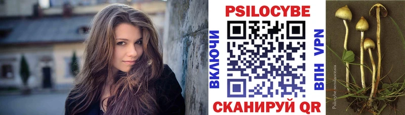 Галлюциногенные грибы Psilocybine cubensis  кракен как войти  Армянск 